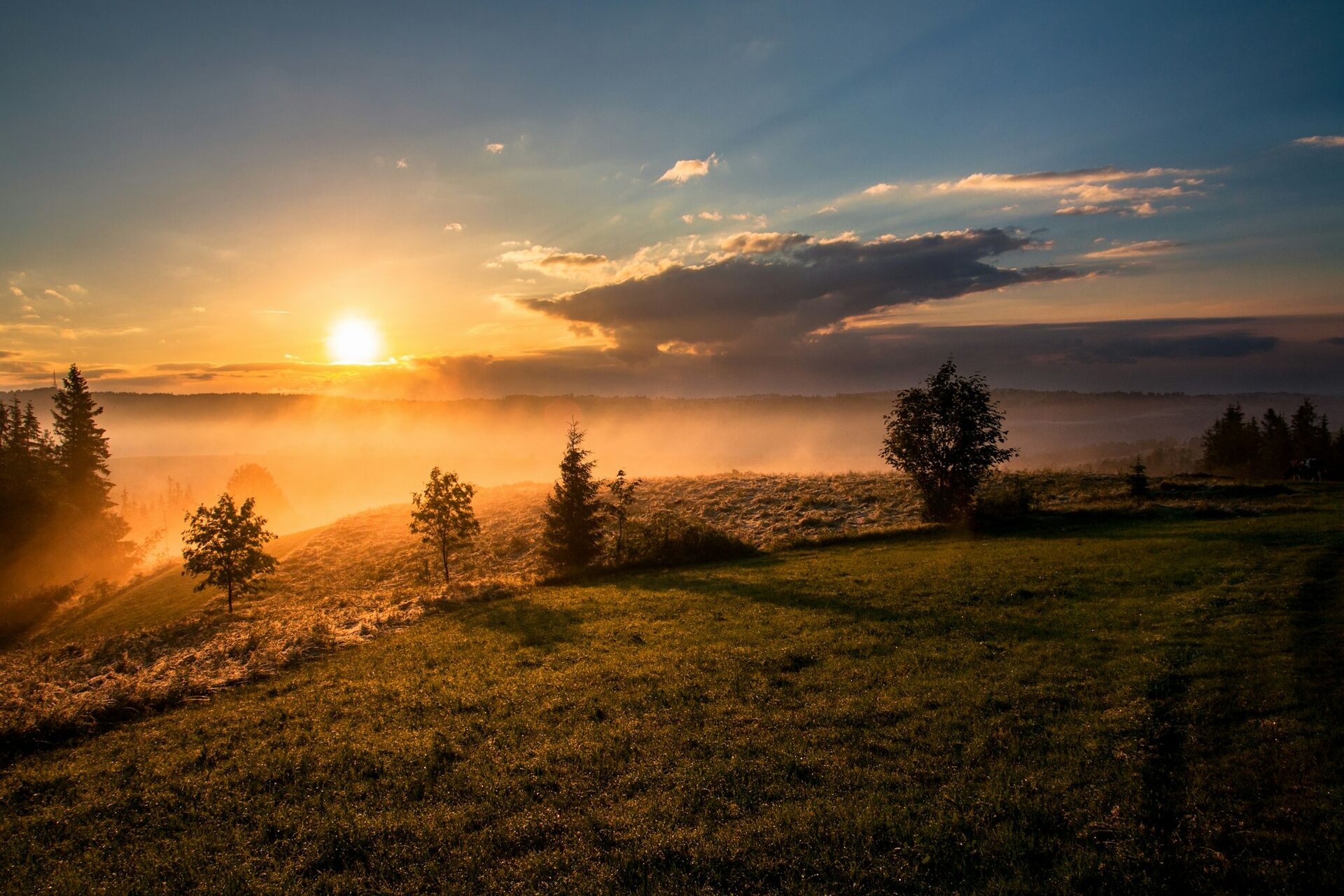 First light spreading across a quiet, misted landscape