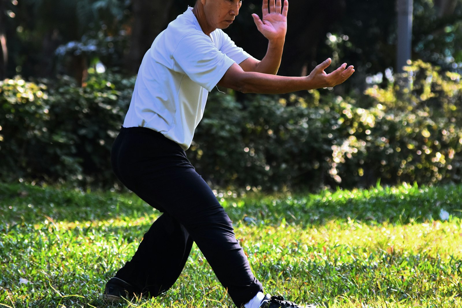 Tai chi practised slowly on grass in a sunlit park
