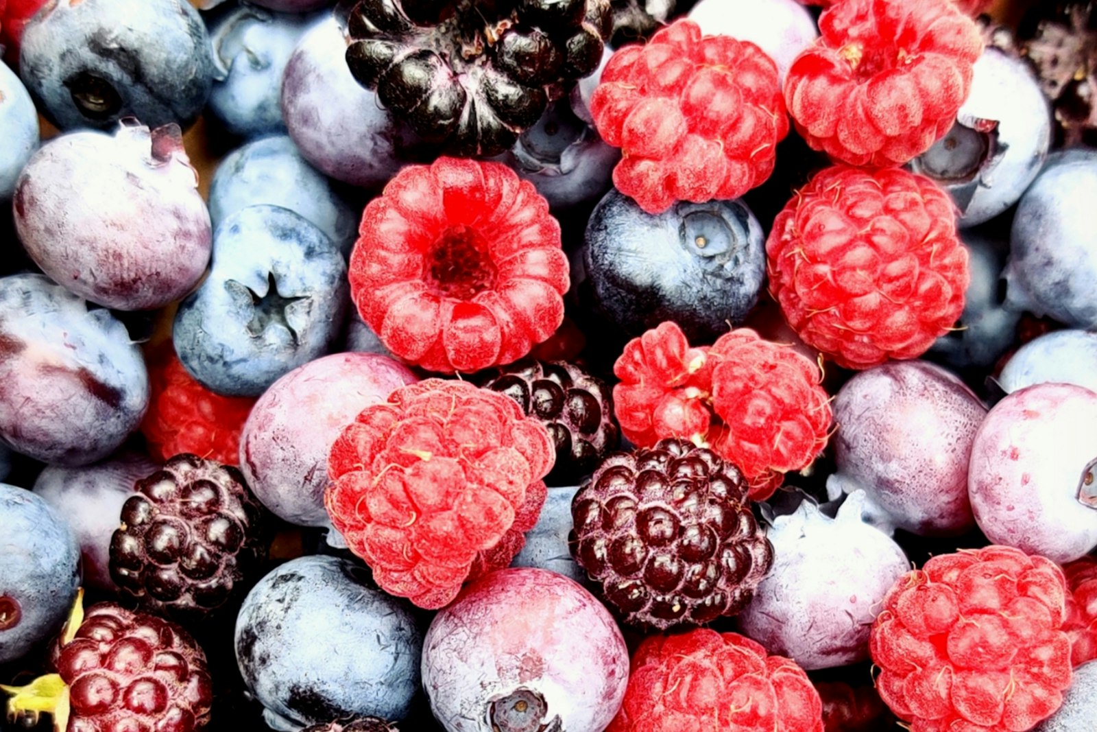 Fresh berries gathered close together